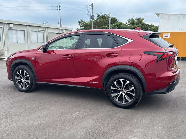 Lexus NX 8