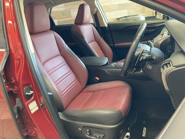 Lexus NX 12