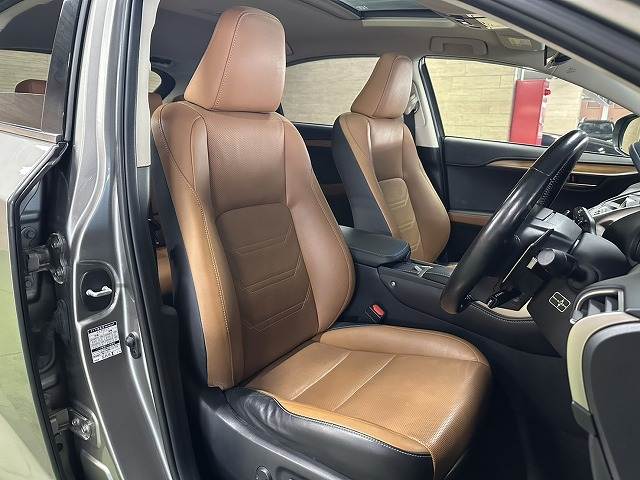 Lexus NX 11