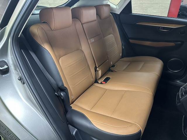 Lexus NX 12