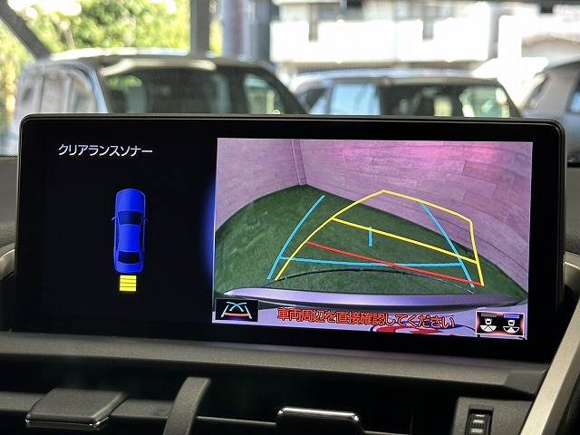 Lexus NX 4