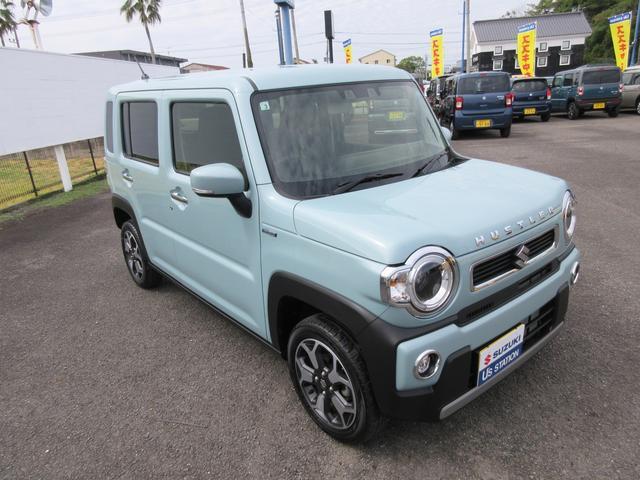 Suzuki Hustler 8