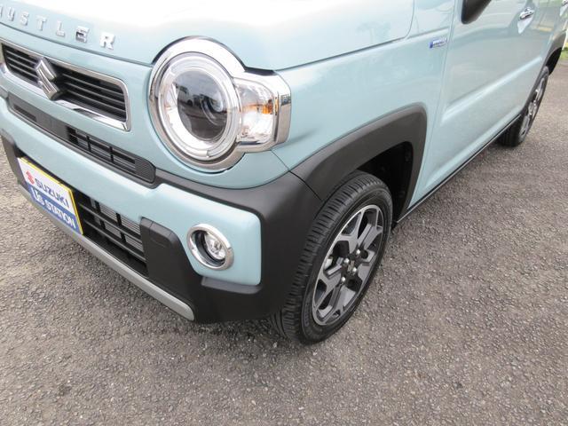 Suzuki Hustler 11