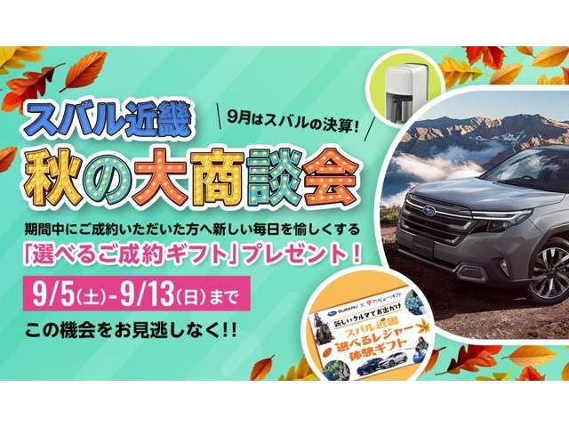 Subaru Crosstrek 2
