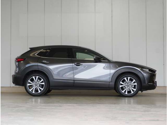Mazda CX-30 10