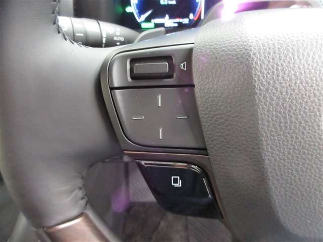 Toyota Vellfire 10