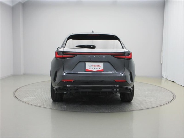 Lexus NX 11