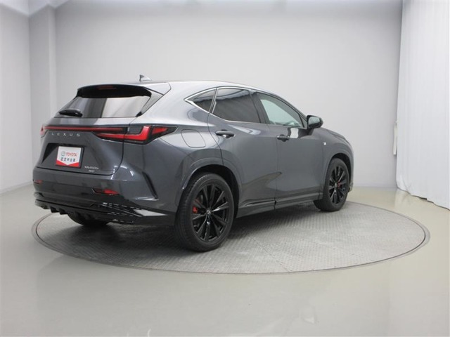 Lexus NX 12
