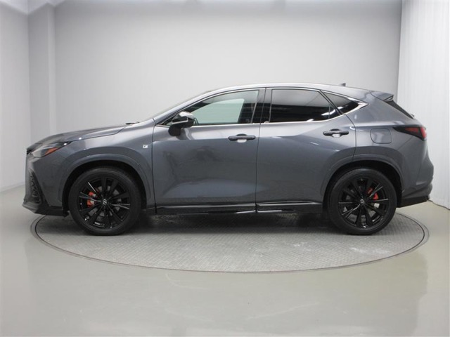 Lexus NX 9
