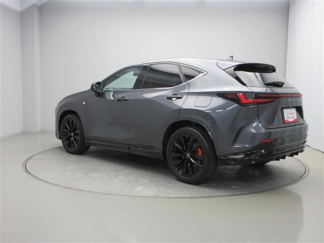 Lexus NX 10