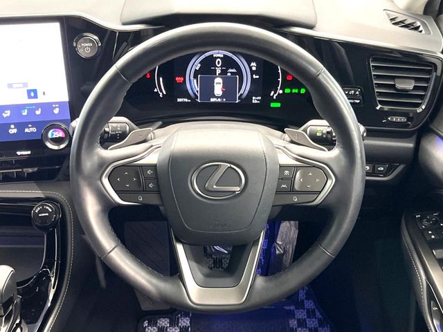 Lexus NX 11