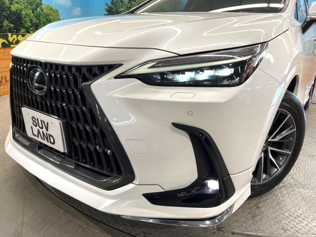 Lexus NX 12