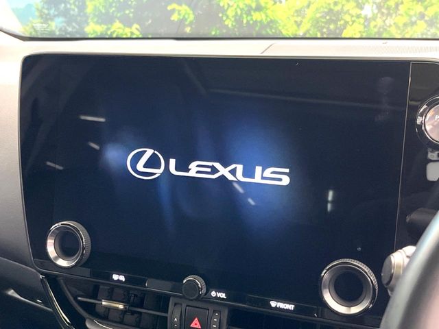 Lexus NX 3