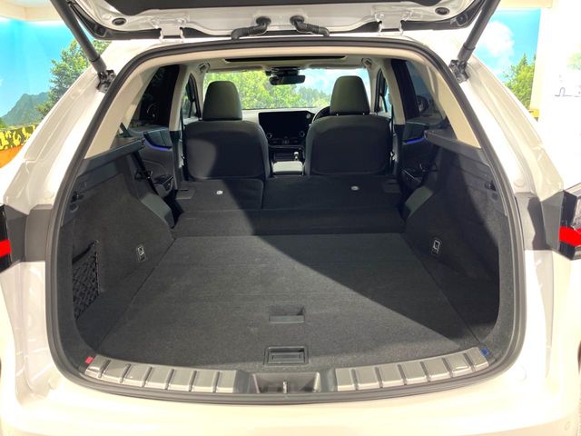 Lexus NX 10