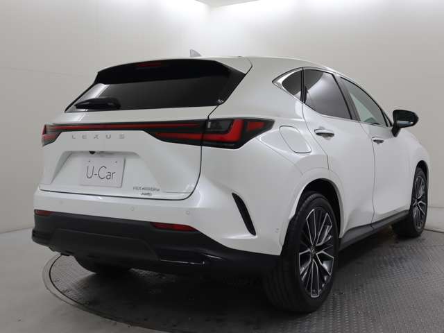 Lexus NX 11