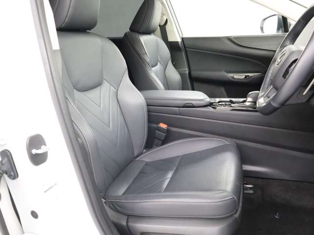 Lexus NX 12