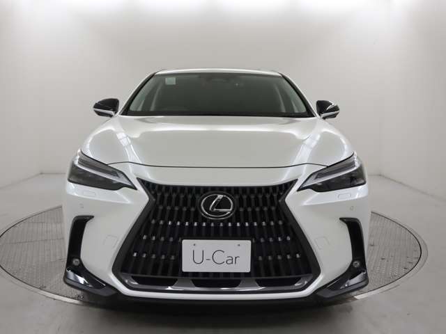 Lexus NX 9
