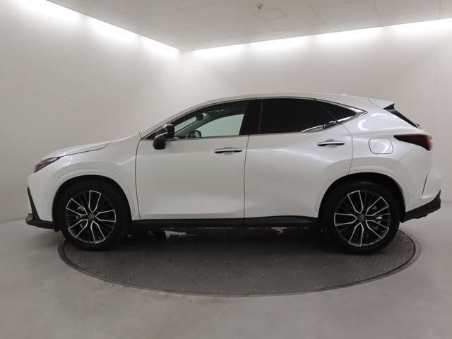 Lexus NX 10