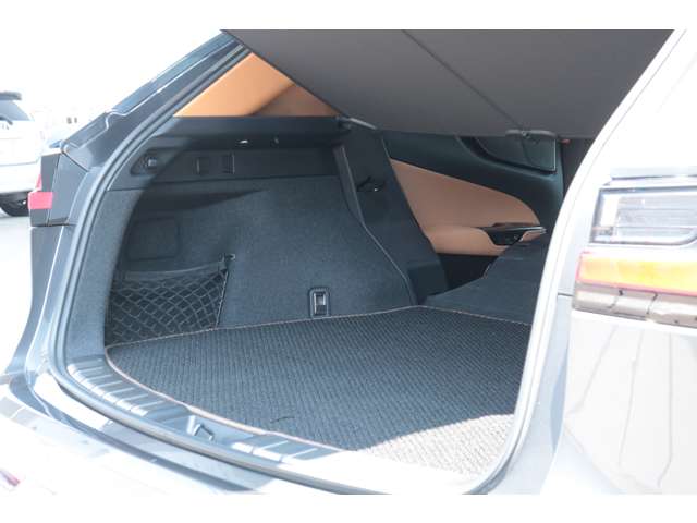 Lexus NX 11
