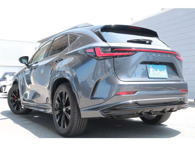Lexus NX 8