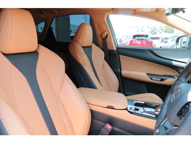 Lexus NX 9