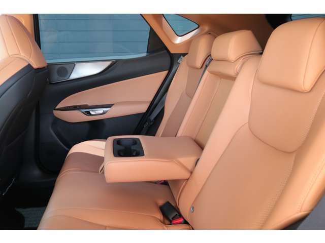 Lexus NX 10