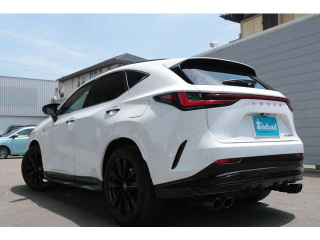 Lexus NX 8