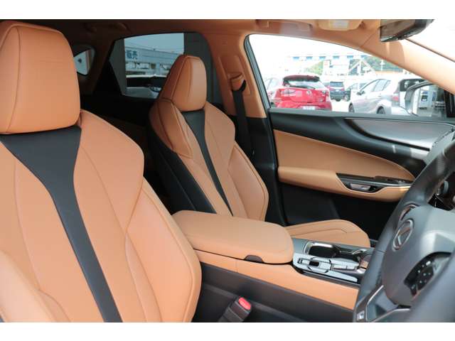 Lexus NX 9