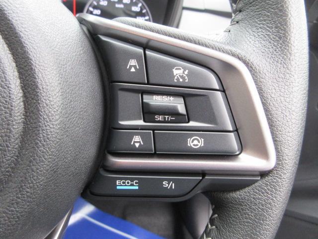 Subaru Crosstrek 9
