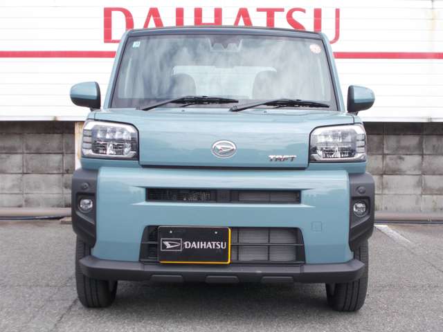 Daihatsu Taft 8