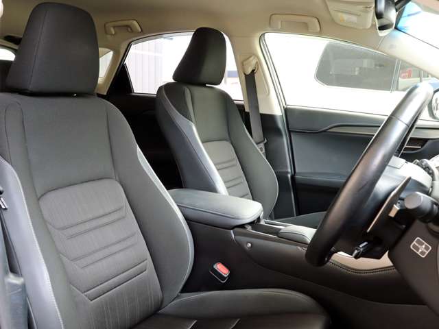 Lexus NX 11