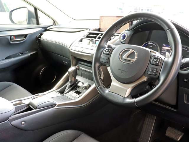 Lexus NX 10