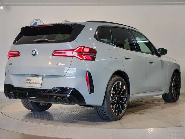BMW X3 8