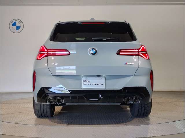 BMW X3 9