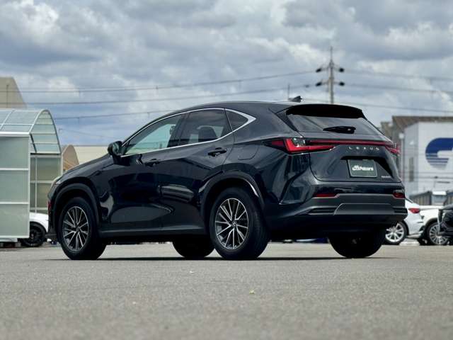 Lexus NX 11