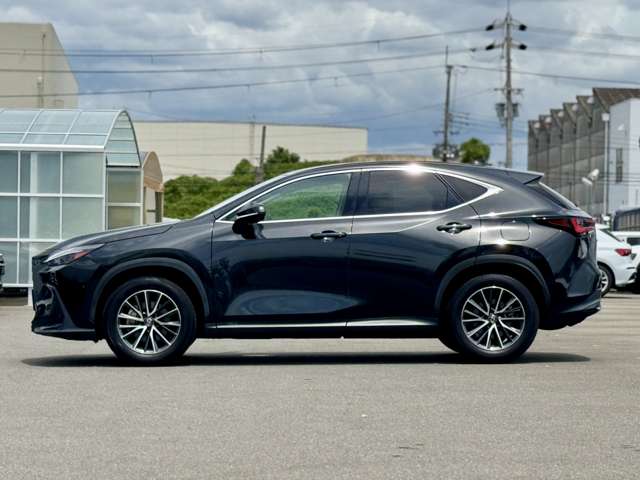 Lexus NX 12
