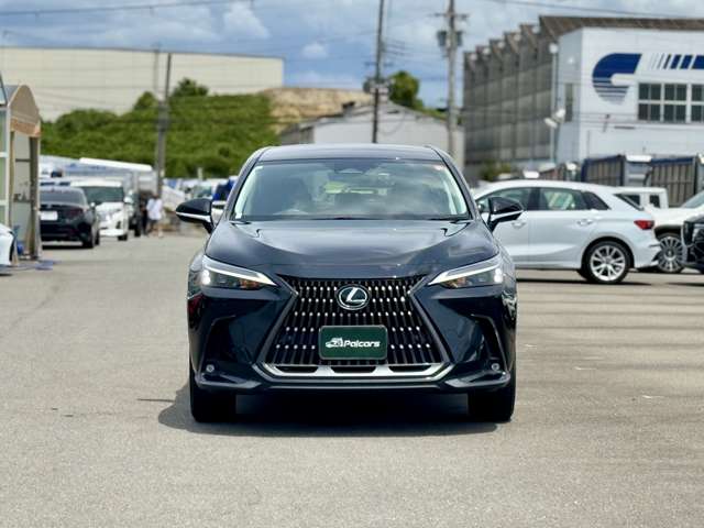 Lexus NX 6