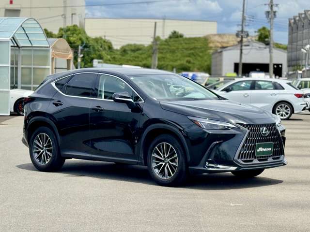 Lexus NX 7