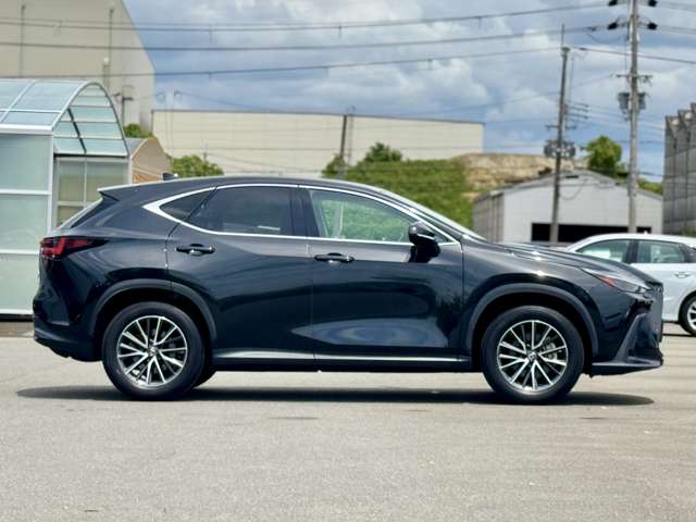 Lexus NX 8