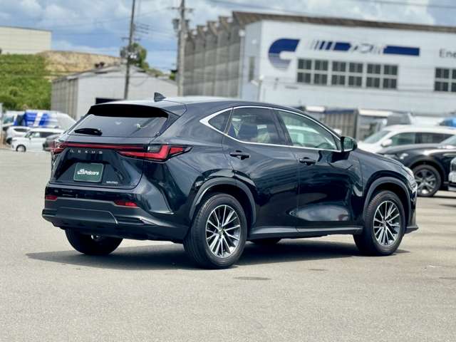 Lexus NX 9