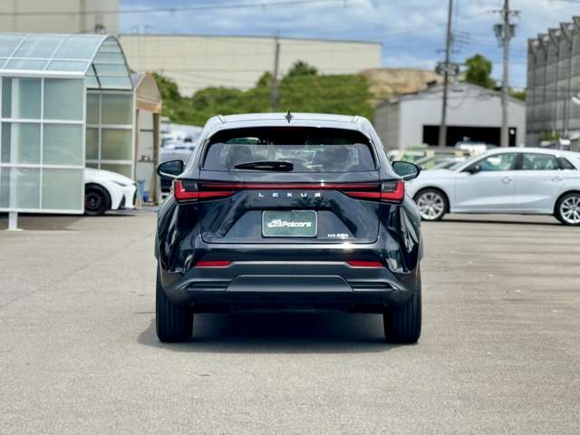 Lexus NX 10