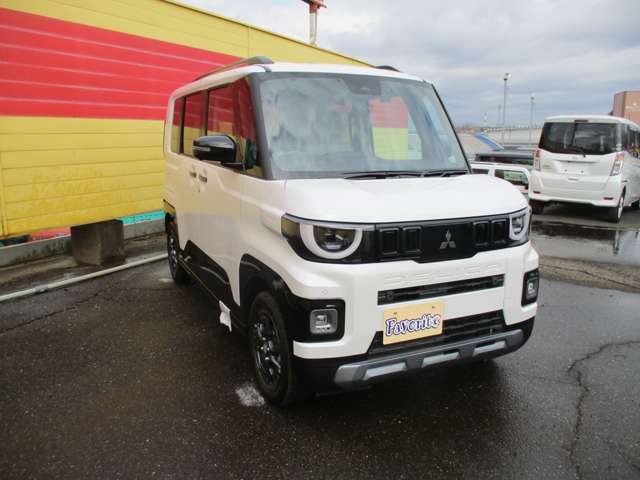 Mitsubishi Delica Mini 8