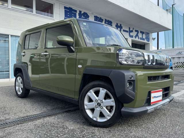 Daihatsu Taft 11