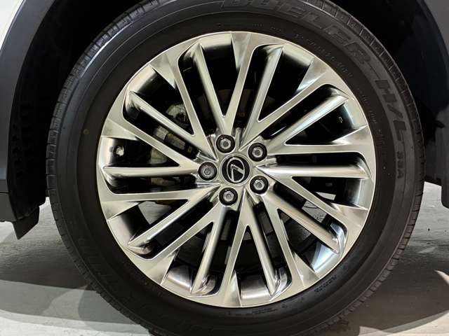 Lexus RX 12