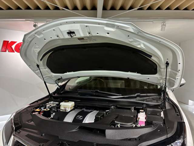 Lexus RX 8