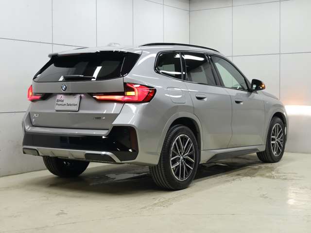BMW X1 9