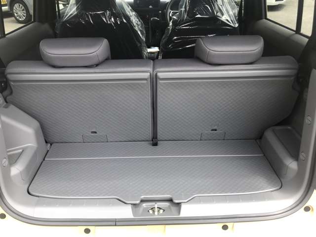 Daihatsu Taft 10