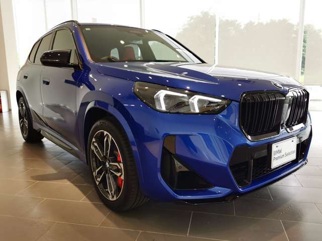 BMW X1 10