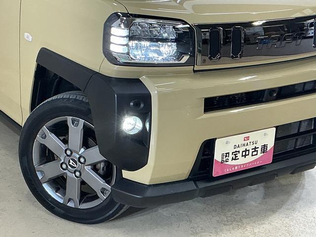 Daihatsu Taft 12