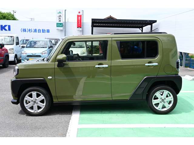 Daihatsu Taft 11